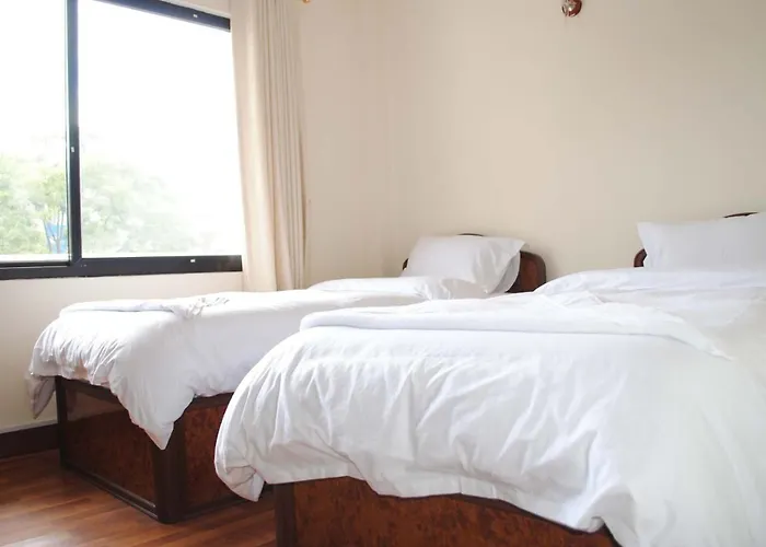 Hotel Avalon House