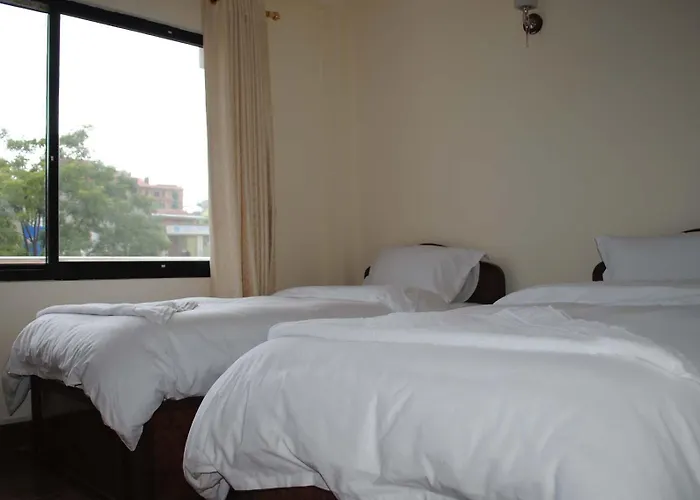 Hotel Avalon House